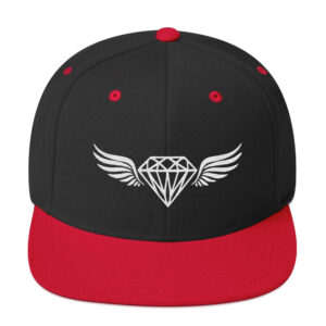 Embroidered Snapback Hat (Online Only)